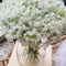 Baby Breath Gypsophila Wedding Decoration Bride White Colour Pu Flowers 30 Pieces/lot